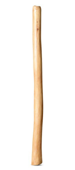 Medium Size Natural Finish Didgeridoo (TW1681)